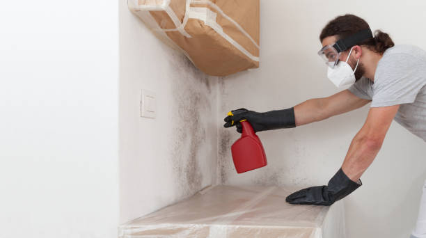 Professional Black Mold Removal technician working in Pottersdale, PA