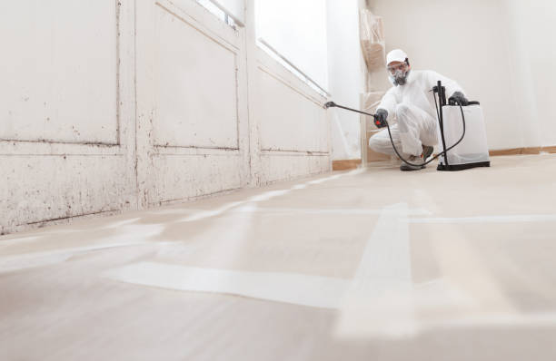 24/7 Emergency Black Mold Removal experts in Pottersdale, PA