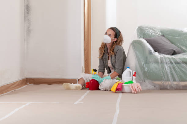 Reliable Black Mold Removal contractor in Pottersdale, PA by WQB Mold Removal